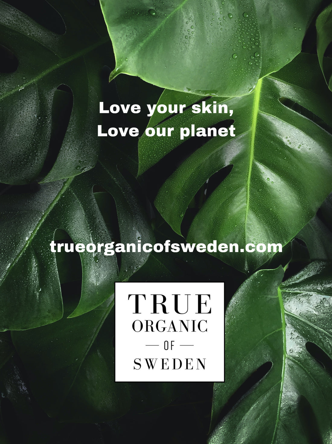 True organic of Sweden- Swedish organic skincare 