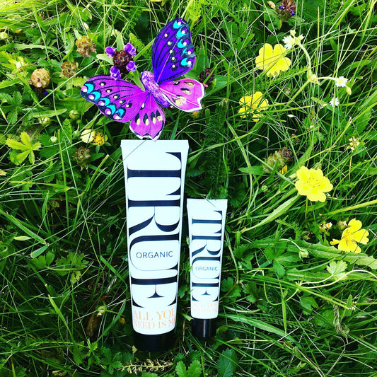 Planting bee and butterfly friendly flowers - True Organic of Sweden