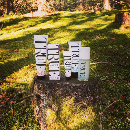 Forest bathing for wellbeing - True Organic of Sweden