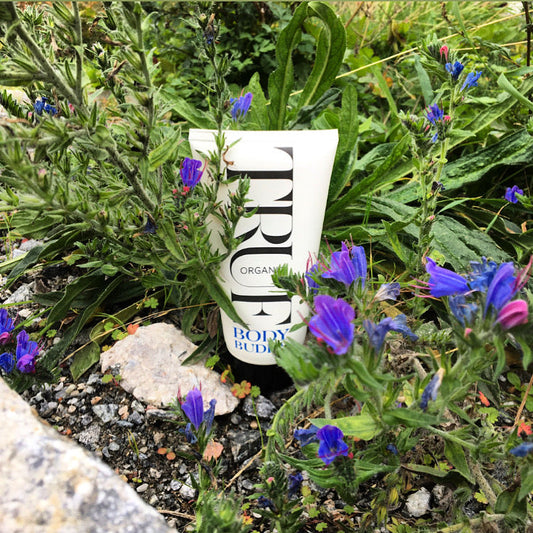 Oat based skincare soothing itching skin - True Organic of Sweden