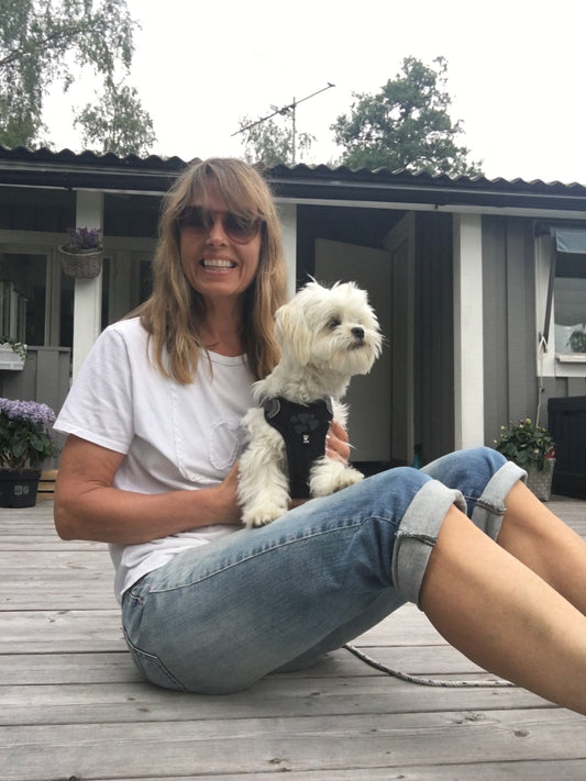 End of summer newsletter - True Organic of Sweden