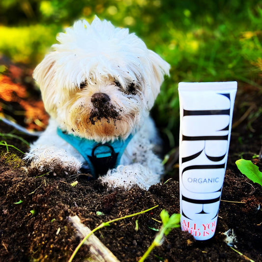 It’s a dog’s world - True Organic of Sweden