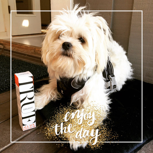 All you need is balm for animals - True Organic of Sweden