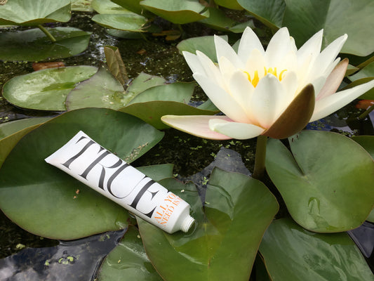 Stockholm oasis - True Organic of Sweden