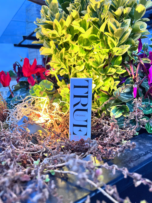 Best barrier organic cream All you need is me by True organic of Sweden 